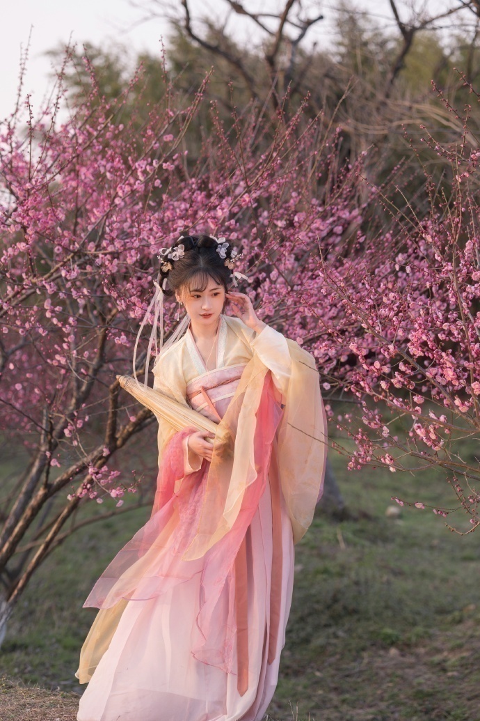 风骚律师 封面